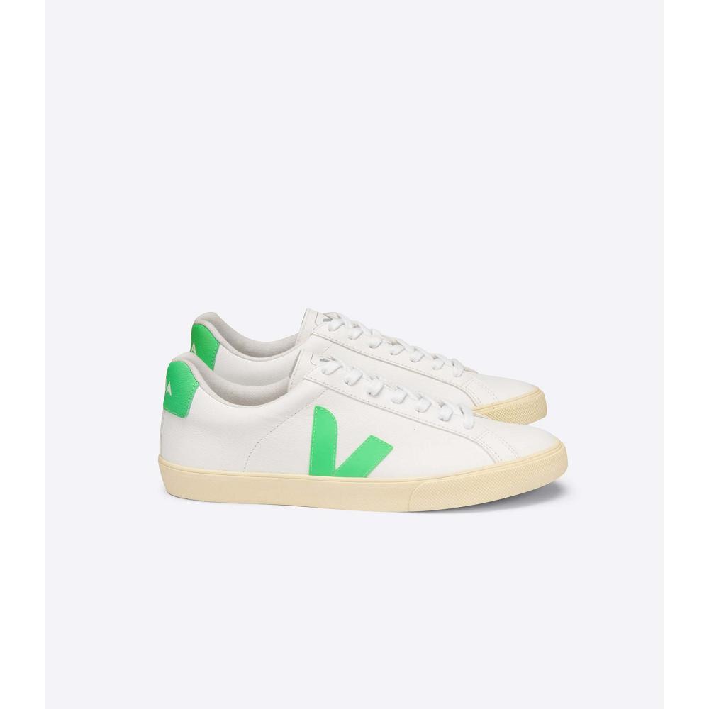 White/Green Women\'s Veja ESPLAR CHROMEFREE Sneakers | AU 612NWY